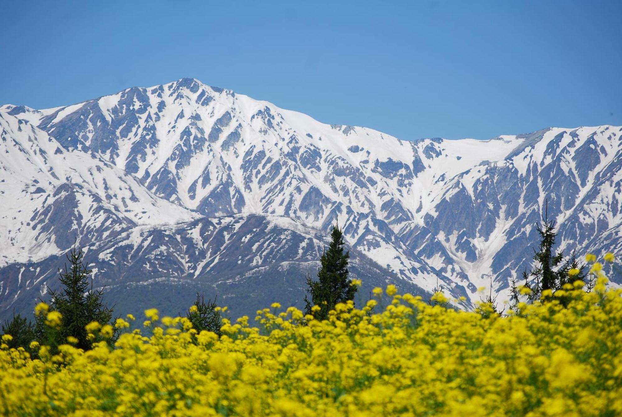 Hakuba Highland Hotel Exterior photo